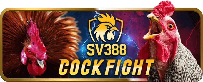 Đa dạng sản phẩm cá cược tại 11.bet: thể thao, game bài, nổ hũ